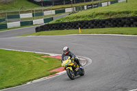 Lower Group Yellow Bikes